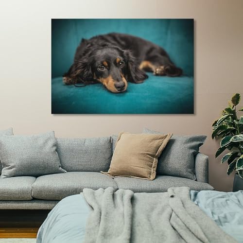 Poster teckel sur toile impression d'art mural chic - 7
