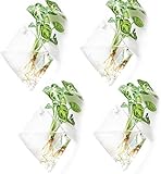 Kingbuy 4 Pack Wall Plant Terrariums Glass Hanging Planter Diamond Air Plants Holder Indoor Home Office Living Room Decor vase Succulent Container