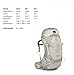Osprey Women's Aura AG 65 Backpack (2017 Model), Silver Streak, Small