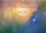 14 Seiten bestehend aus 1 Coverbild | 12 Monatsbilder | 1 Indexseite. Inklusive Papprücken hinten und vorderseitig einer Klarsichtfolie.
