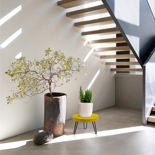 OBTAIN Plant Stand Indoor Outdoor Wood Mid Century Plant Stand for Indoor Plants, Modern Plant Table Round Plant Stool, Boho Rustic Wooden Stool for Plant Pot Hol (L) — view 4