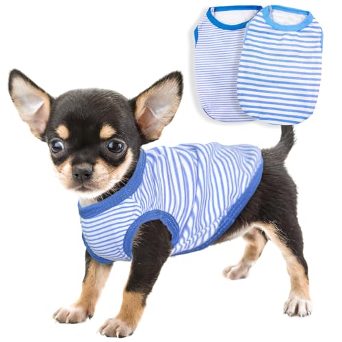 XXS Dog Clothes The 15 best products compared Wild Explained