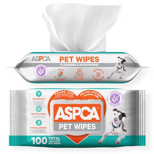 Best Wipes For Dogs Vulva Top 6 Options For Clean And Healthy Care