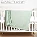 david's kids Micro Fleece Minky Baby Blanket for Girls with Double Layer and Soothing Raised Dots, Breathable and Soft Lightweight Receiving Blanket for Newborns 30x40 Inches, Sage Green