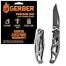 Gerber Paraframe Mini Knife, Fine Edge, Stainless Steel [22-48485]