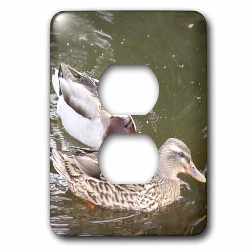 Capot de prise 2 canards lsp_24857_6 3dRose pour installation murale standard