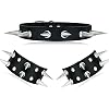 Sanfenly Gothic Jewelry Set for Women Men Cool Punk Black PU Leather Rivet Studded Goth Choker Collar Necklace Bracelets…