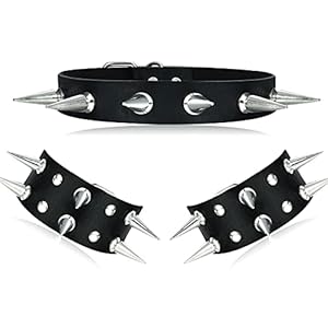 Sanfenly Gothic Jewelry Set for Women Men Cool Punk Black PU Leather Rivet Studded Goth Choker Collar Necklace Bracelets…