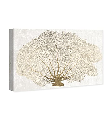 The Oliver Gal Artist Co. Nautical And Coastal Contemporary Wrapped Canvas Wall Art Gold Coral Fan Living Room Bedroom And Bathroom Home Decor 45 In X 30 In White And Gold #TOP1