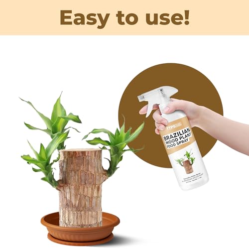 Spray para Planta Brazilian Wood 16 oz miniatura 4