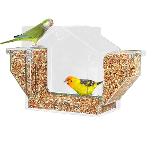 Mangeoire oiseaux anti-écureuils transparente pour une observation sans gêne