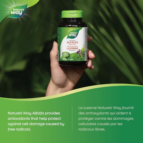 Nature's Way Alfalfa Leaves Herbal Supplement – Source of Antioxidants – Helps Reduce Cell Damage Caused by Free Radicals – Used in Herbal Medicine as Nutritive Tonic – 100 Vegetarian Capsules by Nature's Way - Image 3
