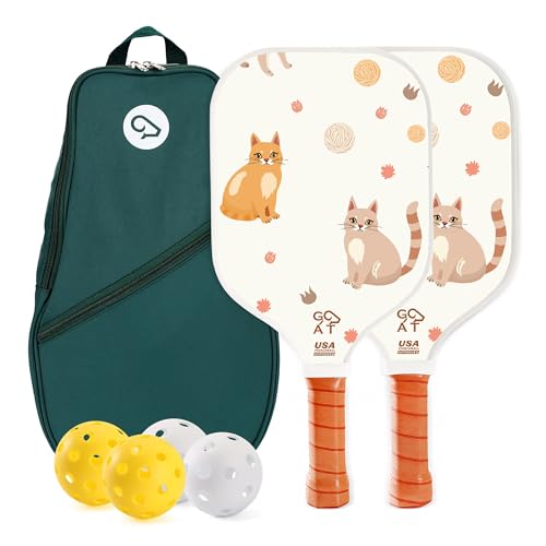 Raquettes de pickleball en fibre de verre avec 4 balles et sac