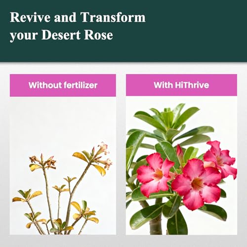 Fertilizante Líquido Desert Rose 300 ml miniatura 6