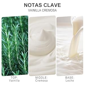 Lodeur Vill Reed Diffuser Set 406 oz120ml Vanilla Scented Diffuser with 4 Oil Diffuser Sticks Home Fragrance Essential Oil Reed Diffuser for Home Large Rooms Bathroom Shelf Decor