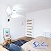 Simple Deluxe 2-Pack 16-Inch Digital Wall Mount Oscillating Exhaust Fan with Remote and Built-in Timer, ETL Certified