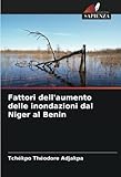 Fattori dell'aumento delle inondazioni dal Niger al Benin - Tchékpo Théodore Adjakpa 