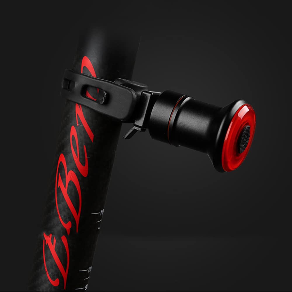 Luce Posteriore a LED per Bicicletta, Torcia per Avvio/Arresto Automatico, sensore di frenata, Impermeabile IPX6, Ricarica USB, Luce Posteriore