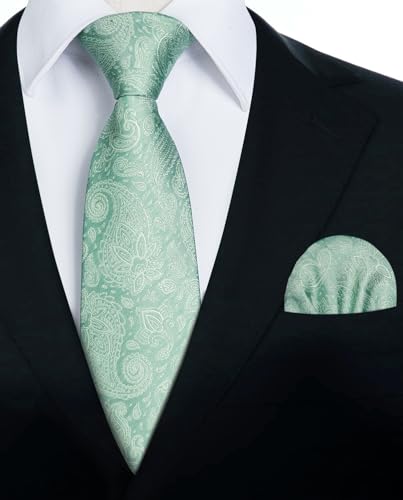 Image of HISDERN Ties for Men Paisley Tie and Pocket Square Woven Classic Floral Mens Ties Handkerchief Set Wedding Party Necktie