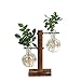 Produktbild Ysoom Glasvase Flora, Desktop Glas Übertopf Vase, Glas Vase Verschiedene Größen mit Retro Solid Holz Ständer Hydrokultur Pflanzen Home Garten Hochzeit Dekor