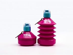 Nayade System Be-Fuelle Bottle Sport Cap 570 ml for Pet Pee Cleaning, Pink