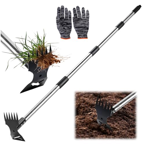 Désherbeur Manuel 160 cm, Râteau Manuel 2 en 1 et houe de Jardin Arrache Mauvaise Herbe Long Manche Outils de Jardinage pour Plantation, Désherbage, Desserrage, Déracinement Outils de barbecue
