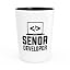 Senor developer