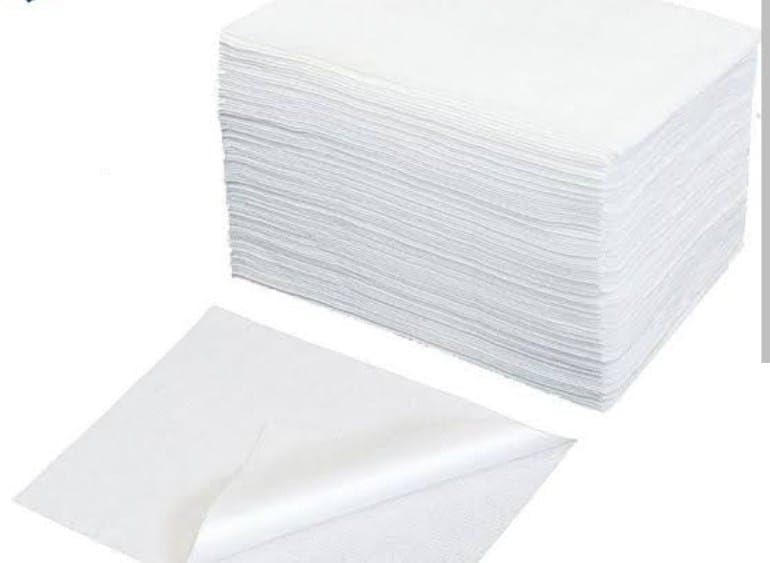 BLUE SAFE (Pack of 10) Disposable Towel 20x40 inches Breathable Towel, Soft and Clean, hygienic Product