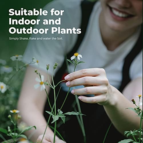 Houseplant Food  Granular Organic Plant food Dirt All Purpose for Healthy Houseplants 60g  Vigorous growth with strong root  Suitable for all kinds of indoor and outdoor Houseplant fertilizers