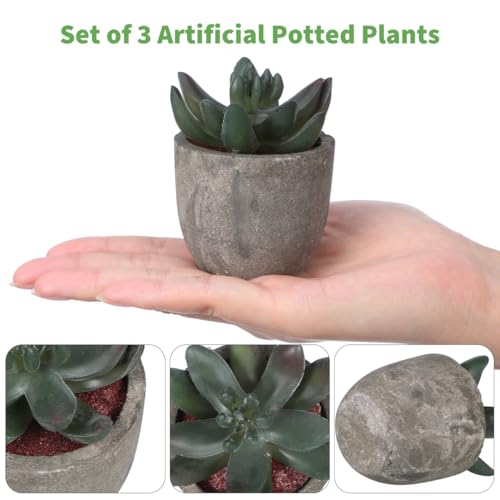 OUNONA 3 Stück künstliche Pflanzentöpfe im Topf, Verschiedene Sukkulenten, Kaktus, künstliche Simulation, Wanddekoration, Home Garden Grün