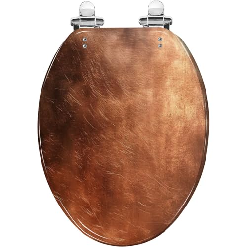 Elongated Toilet Seat Copper surface sunlight space Resin Toilet Seat Slow Quiet Close with Quick-Release Hinges Toilet Seat with Cover Easy to Clean Install