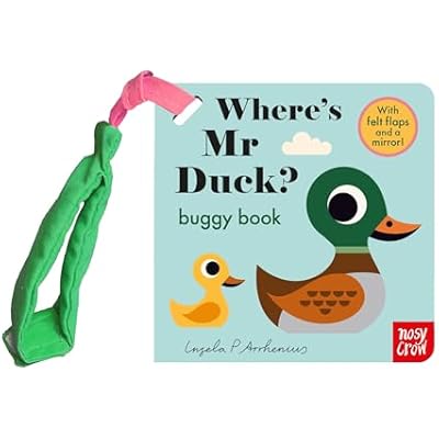 Where's Mr Duck? Buggy Book