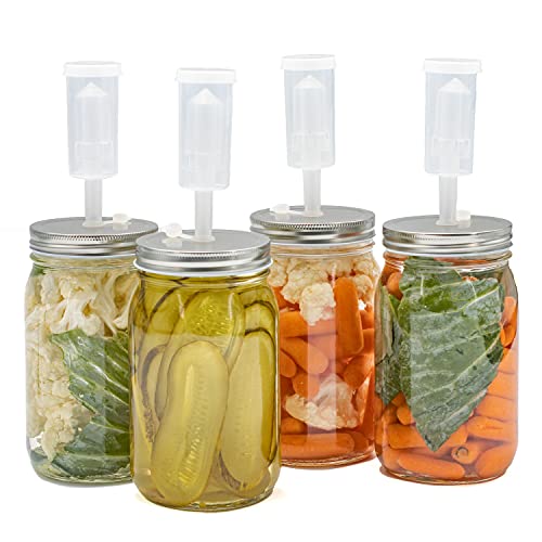 Top 10 Best Diy Mason Jar Airlock Reviews & Buying Guide Katynel