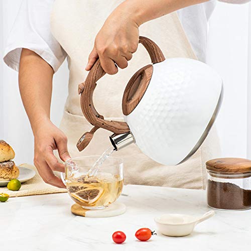 LOPADE Chaleira de aço inoxidável 28L com apito, chaleira de aço inoxidável com alça à prova de calo