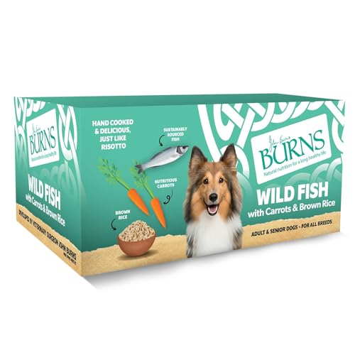 Burns Pet Natural Nutrition Adult & Senior Wet Dog Food Wild Fish Carrots & Wholegrain Brown Rice 12 x 150gm