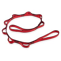 DASKING Daisy Chains, 110cm Yoga Hängematte Verlängerungsgurt, 23 KN Starke Verstellbares Nylon Übungsband Gurt für Aerial Yoga, Pilates, Dehnung, Camping, Fitness (Rot)