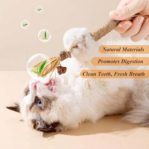 ANMOYIXIA Katzenminze Sticks Kaustangen Katze Katzensticks Katzen Kauhölzer Sticks für Katzen Zahnpflege und Gegen Mundgeruch (3 Stück)
