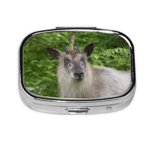 JVJijzJVJj b 2 is{bNX ^т₷肢|[` ݖYh~gь^