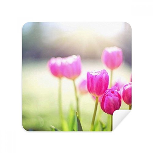 Nettoyeur ecran fleurs pour smartphone et lunettes au bureau comme en voyage