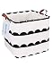 LANGYASHAN Square Storage Bins Waterproof Canvas Kids Laundry/Nursery Boxes for Shelves/Gift Baskets/Toy Organizer/Baby Room Decor(Square lace)