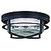 Vaxcel Logan LED Outdoor Flush Mount Ceiling Light Clear Glass