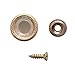 KIT para arreglar el techo de tu coche/Pack botones Techo Auto (Beige/20...