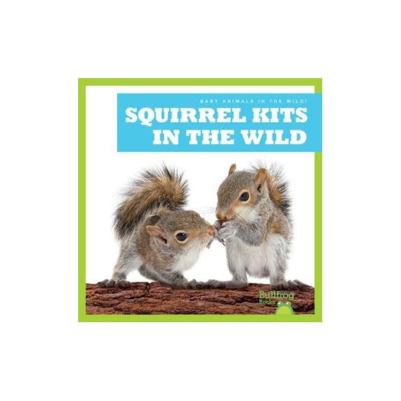 Squirrel Kits in the Wild