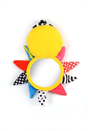 Sassy Sunshine Mirror