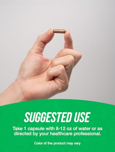 bulksupplementscom noni extract capsules - noni fruit 500mg superfood supplement noni fruit supplement - gluten free 1 capsule per serving 240 veg capsules pack of 1