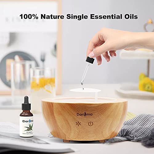 Aceite esencial de Eucalipto Daroma 20 ml miniatura 3