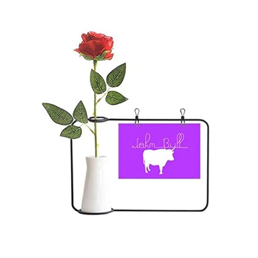 OFFbb-USA Vanlig kunskap engelska språket kultur konstgjord ros blomma hängande vaser dekorationsflaska