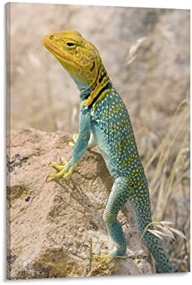 Wall Posters Animal Ring Neck Lizard Art Posters Canvas Wall Art Prints for Wall Decor Room Decor Bedroom Decor Gifts Posters 24x36inch(60x90cm) Frame-Style