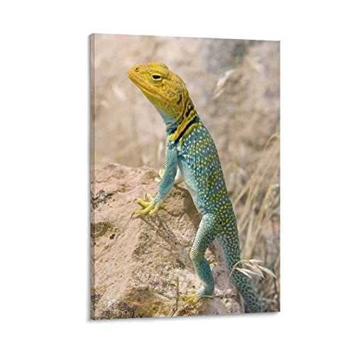 Wall Posters Animal Ring Neck Lizard Art Posters Canvas Wall Art Prints For Wall Decor Room Decor Bedroom Decor Gifts Posters 24X36Inch(60X90Cm) Frame-Style #TOP8