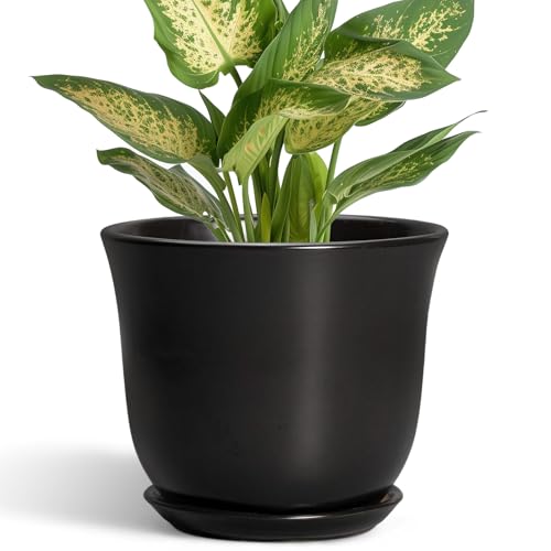 SUNPOTFOR Ceramic Planter, 5.6 Inch Plant Pot, Black
